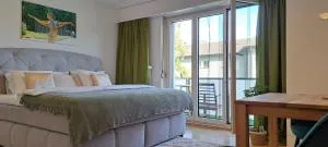 Grünes 1-Zimmer-Appartement - 克罗伊茨林根