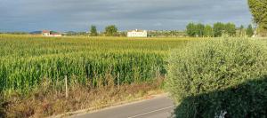 Casa das Laranjeiras