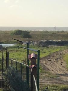 Casa Bita Morales CASA 201