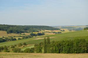 B&B / Chambres d'hotes Chambres D'hotes & Champagne Douard : photos des chambres