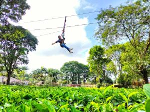 Kebun Teh Wonosari Rollaas Hotel & Resort