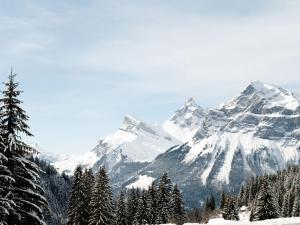 Appartement ski-inski-out 6 pers, 45m² - FR-1-687-81