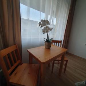 Ubytovanie FUNSTAR Topoľčany