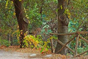 SEnis Monte Maccione