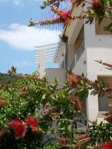 Villa Muses Poros-Island Greece