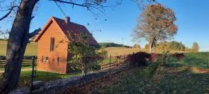 "Cztery Klony" - Golubki