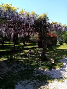 La Casa Gialla A MONTIGNOSO