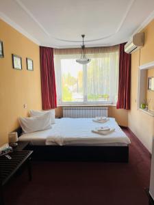 Superior Double Room room in Pensiunea Curtea Bavareza