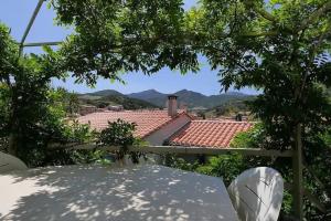 Grand appartement dans maison-proche centre Collioure-terrasse-jardin
