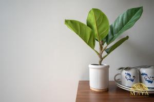 NHOA 309C Lux 1BR Condo Pool View in Aldea Zama