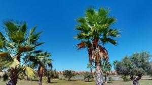 Casa Bonsai I - A Murcia Holiday Rentals Property