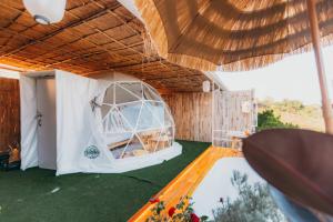 Paopao Orange Farm and Home stay