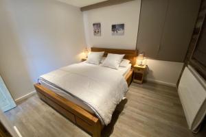 Le Bouquetin 8 person 50m from slopes in the heart of the village