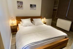 Le Bouquetin 8 person 50m from slopes in the heart of the village