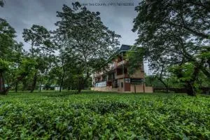 Tusker Tea County - Uttar Simlabari