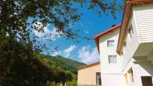 Къща за гости ДАП Баните - Lesiche