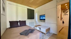 Appartements Studio renove avec terrasse Sud idealement situe : photos des chambres