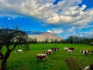 Maison des Vues Imprenables, Jacuzzi, 1h15 Geneva - Talissieu