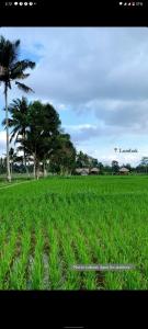 New Rinjani Homestay