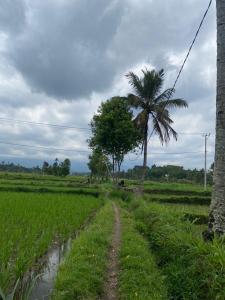 New Rinjani Homestay