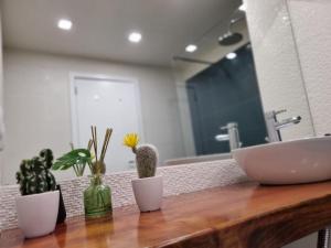 Olimpia Gardens View by Rentallido