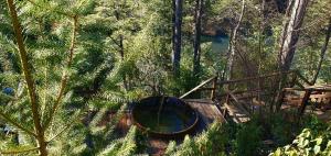 Cabañas Vista Bonita