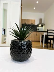 Appartements Villa la Brise , Studio 
