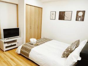 Tokyo Louis House in Ueno area close to JR Yamanote Line & Metro Ginza Line walk to Ueno Park and Ameyoko