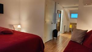 Appartements VILLA GARGANTUA : photos des chambres