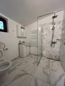 Casa Lupilor Transfăgărășan