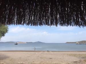 Tiny house by the sea in Bodrum Camel Beach