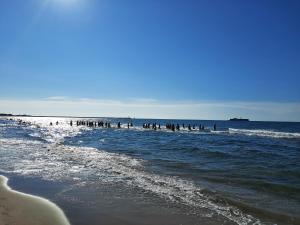 Appartements Sopraland T3 45m2 a 300m plage Richelieu : photos des chambres