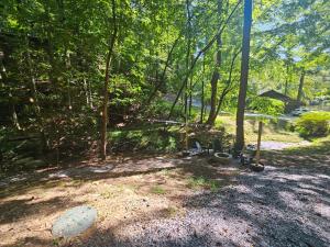 Penny Creek Cabin - Powder Horn Mountain