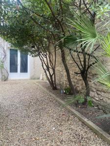 Appartements Maisonnette proche gare tres agreable : photos des chambres
