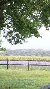 Les Pommiers Sauvages