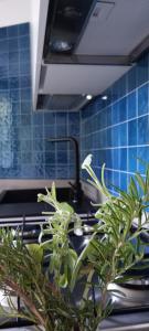 Casa Aurelia, Pognana Lario