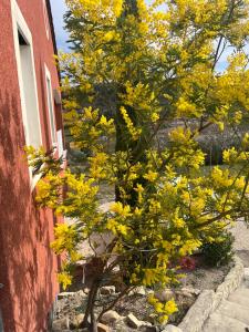 Maisons de vacances Le Gite du vigneron : photos des chambres