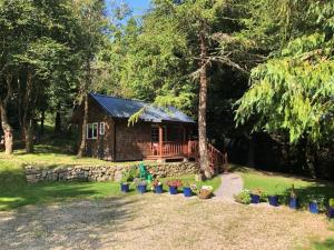 Willow Lodge - Lodges, Dublín