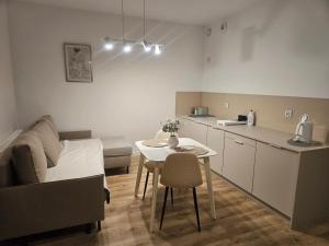 Apartament w Dolinie Sanu nr 2