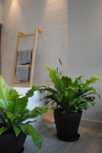 Les Suites Massena