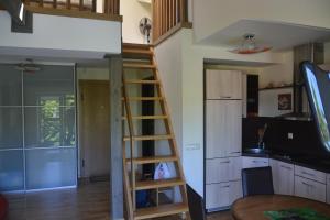 Studio apartamentas keturiems ATOSTOGOS NIDOJE