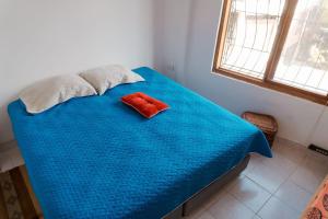 Encanto Colonial en San Antonio