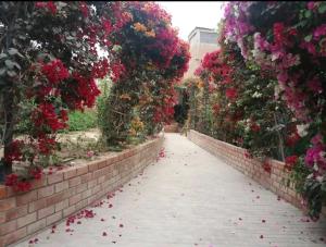 Habitación privada familiar con jardín para Srtas en Ica centro