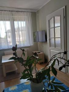 Apartament z tarasem