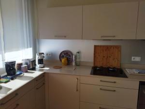 Appartements Le Puy de Dome : photos des chambres