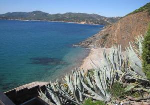 Appartamento Sul Mare img9