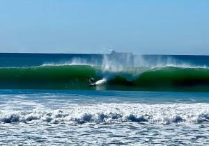 Absolute Beach Front Home -Dogs, Surf, Relax, Bush