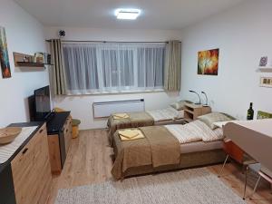 Apartmán Sedmička Horec