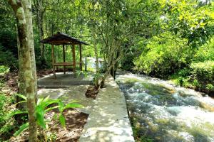 STREAMVIEWS@pan