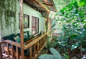 Jungle view studio with terrace